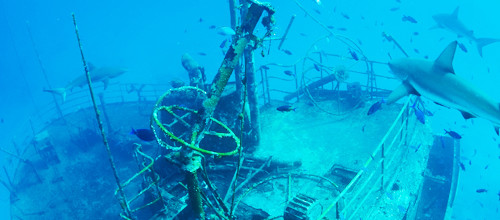 _bahamas_diving_rapture-wrecks