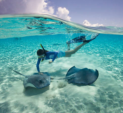 beach-vacations-snorkeling-sting-rays-01