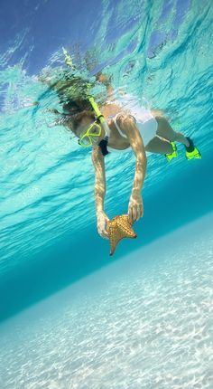 woman swimming and holding a starfish underwater