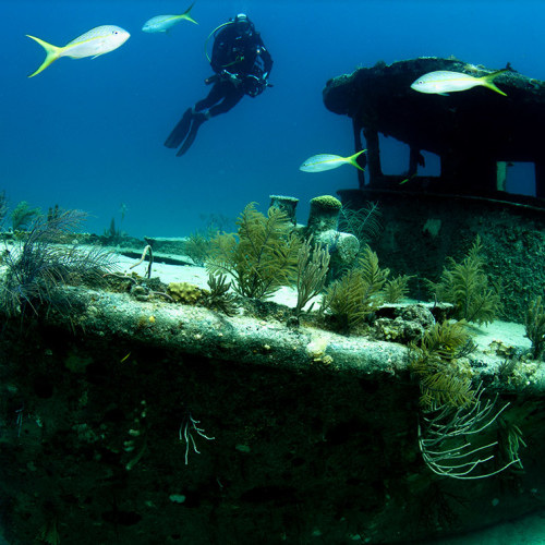 diving-on-grand-bahama