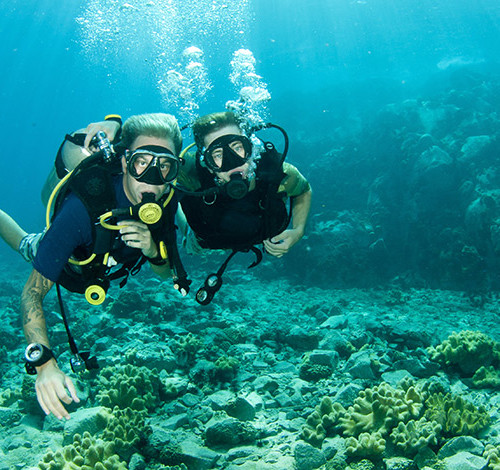 scuba-diving-grand-bahama