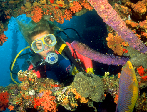 635818198997670012-Diving-Antilla-Shipwreck-1-Aruba-Tourism-Authority