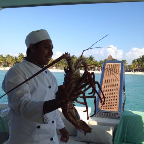 Lobster-meal
